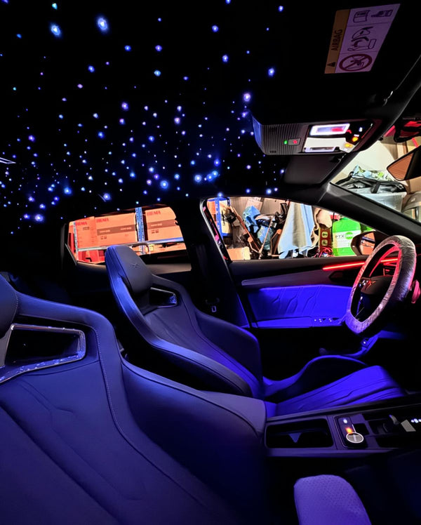 Review photo by Danny Martinez